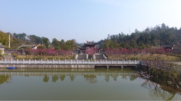 到大观梅花园踏青，感受牛年第一波暗香涌动