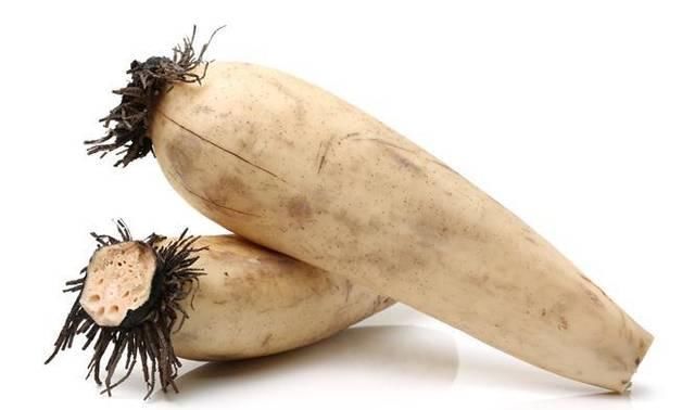 女性爱吃四种食物,营养丰富、滋润肌肤,好处多多