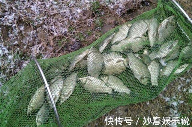钓点|冬季钓鱼,不要一到水边就下竿,牢记这4个法则,天再冷都能爆护