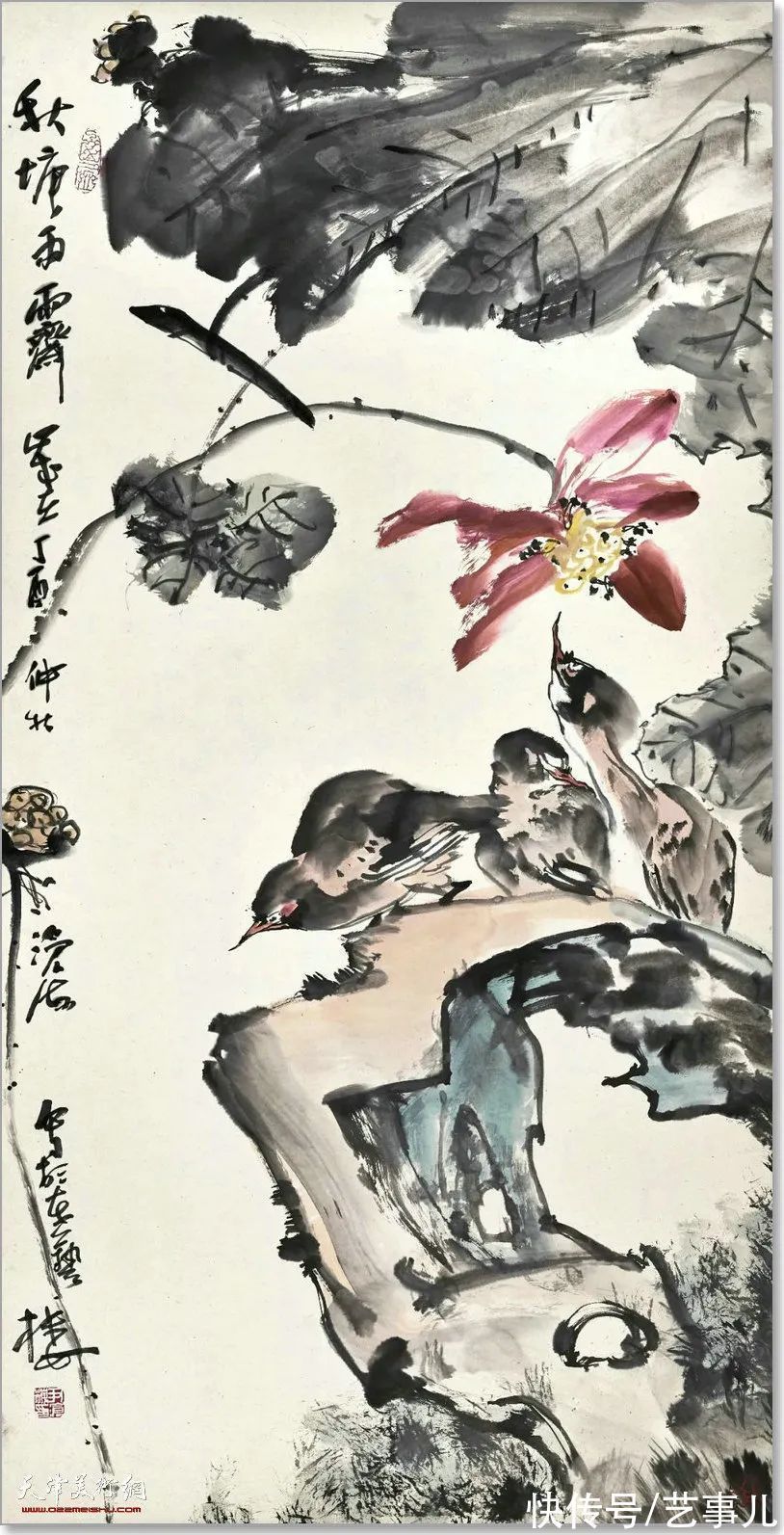 库尔勒!尹沧海教授荷花水禽作品欣赏:笔意简率自由 一派天趣自成