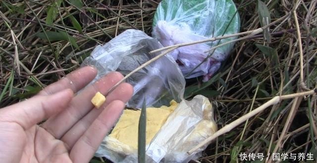 玉米这样用，让钓鱼效果翻倍，鲫鱼鲤鱼草鱼鳊鱼都爱吃，别错过