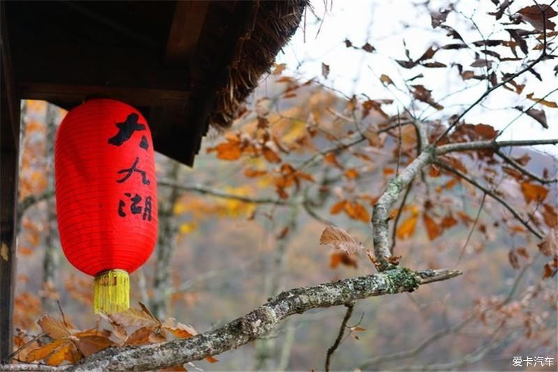 云雾缭绕，醉美深秋神农架行