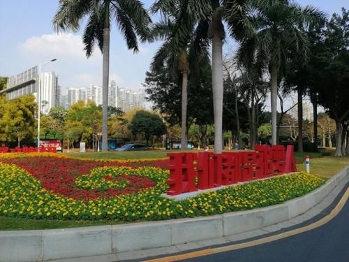 繁花|抬头望满树繁花，低头见彩带祥云！广州天河赏花地图请收好