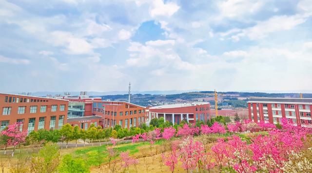 云赏花！一大波高校春景来袭，来看看你的学校→