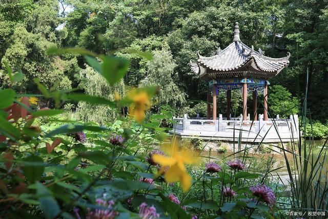 荷塘$隐居诗词27首白首山中岁月赊,闲敲棋子慢烹茶