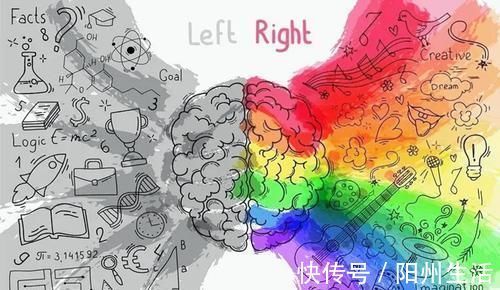 大脑|哈佛研究：宝宝大脑发育高峰期一生有三次，请务必帮娃抓住一次