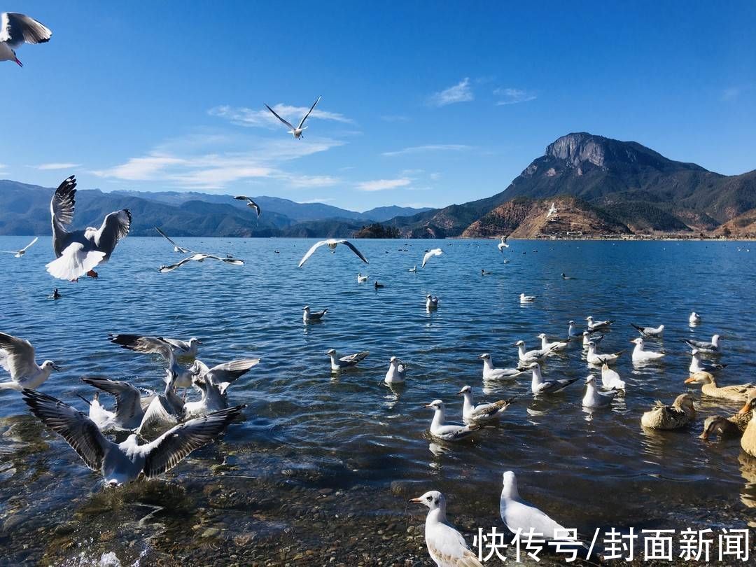 核酸|春节游四川泸沽湖，需出示24小时内核酸检测报告