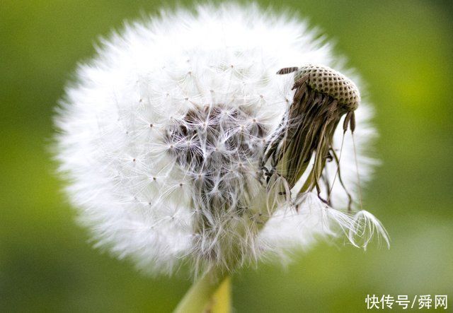 7月底，结束单身，牵手挚爱，喜出望外，旧情复燃的生肖