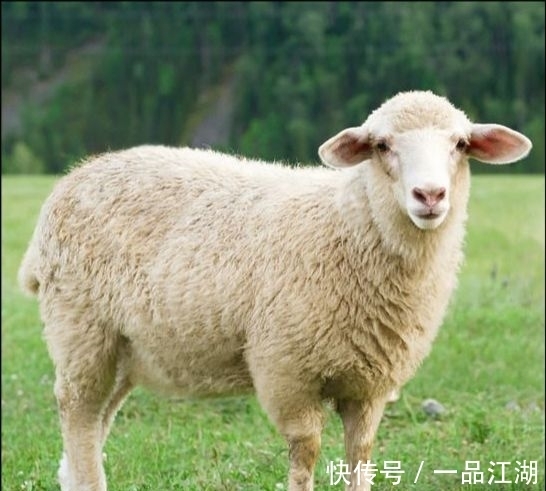 24个冷知识:生物老师看完直呼不可思议,但却真实存在的有趣知识