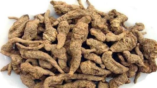 刺五加|12个最全的“活血化瘀”的秘方!流传千年,中医常称“金不换”!