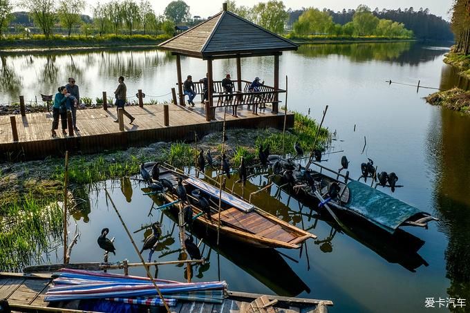 中年|春暖花开游江南-千垛景区水上森林之旅
