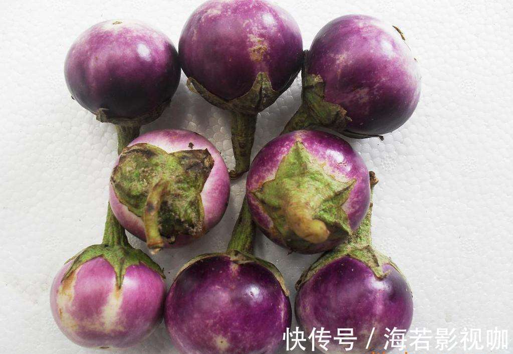 海白菜|子宫光滑的女性,都爱吃以下四种食物,缓解痛经,预防子宫早衰