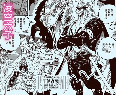 政府|海贼王百兽海贼团总人数曝光,怪不得世界政府如此忌惮!