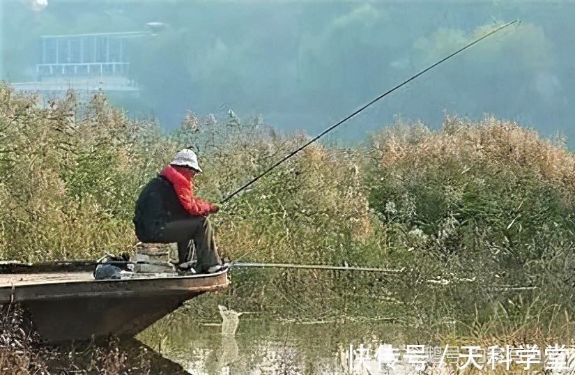 冬季野钓鲫鱼,用这些自制饵料,诱鱼、留鱼、上鱼远胜其它鱼饵