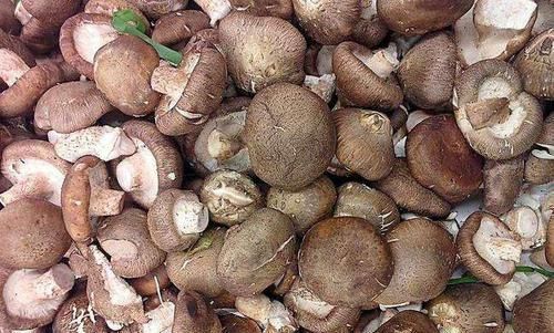 血管|这3样是你高血压的“元凶”,如果不预防,小心你的血管要爆裂