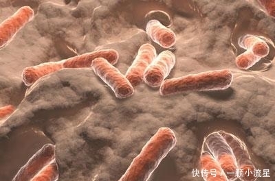 華花郎|這個時候喝蒲公英，可以更好的保肝排毒，還可以護胃殺菌