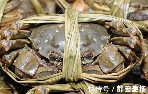 蒸螃蟹|蒸螃蟹,冷水上锅蒸还是热水?口感差别很大,以后别再用错了