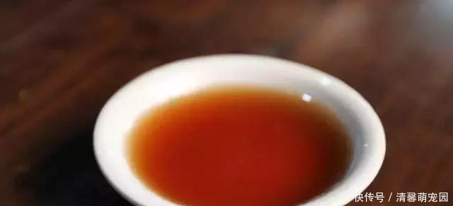 浇灌|养花浇了“夺命水”,难怪烂根、黄叶,2种水“千万”别乱用