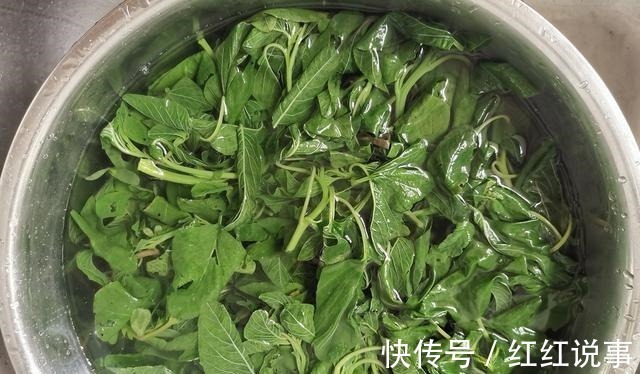 常吃饺子的注意了，提醒家人用这菜，越早知道越好，比肉馅的都香！