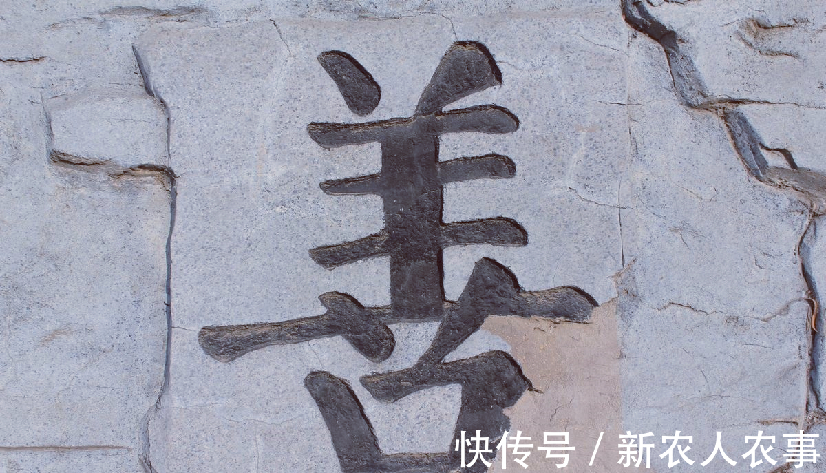 萌娃|萌娃不想鱼被卖掉，抱起来就往家跑，一系列神操太有爱了