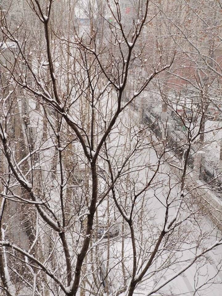 2022年济南第一场雪！漂亮的雪景请你欣赏