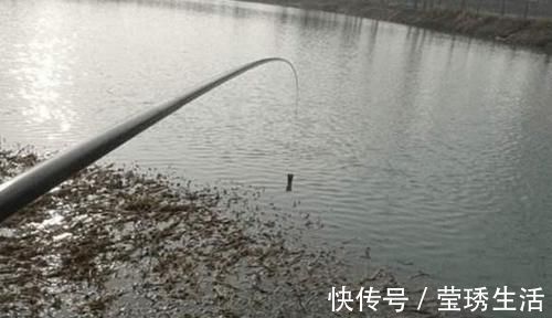 冬季手竿草边钓大鲫鱼,注意这4个要点