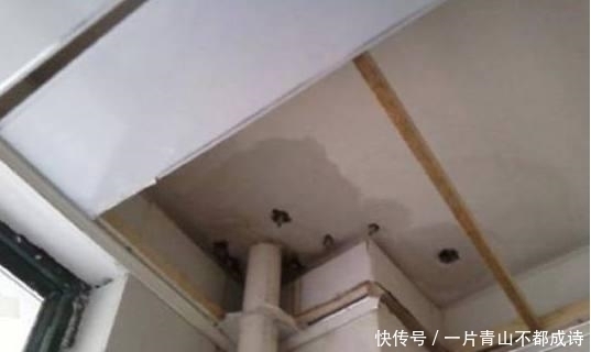 漏水|很多人卫生间不涂防水层了,他们选择这样做,住再久都不会漏水