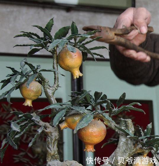 如何轻松快速的做好一盆石榴盆景,你只差这几步