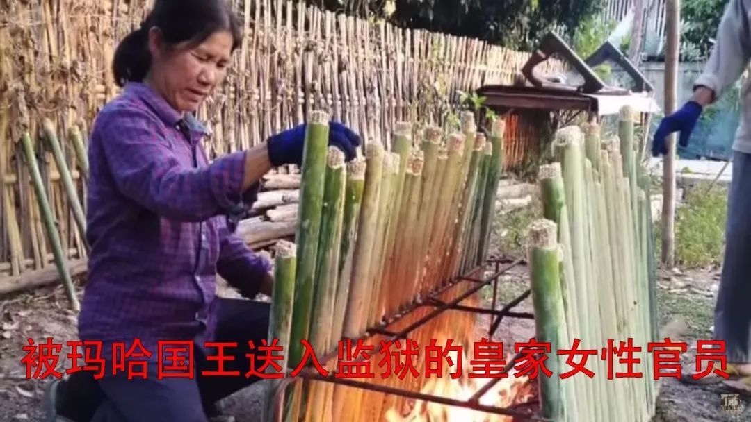 关押|诗妮娜贵妃入狱两年，被关押场所睡觉翻身都难，还需要劳动改造！