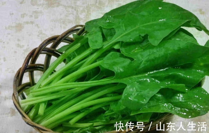 禁忌|爱吃菠菜的人要注意,有3大禁忌要了解,别怪我没提醒你