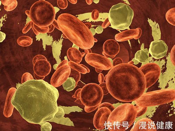 油炸类|血脂高的人,饮食有讲究!平日注意做好3点,血脂慢慢恢复