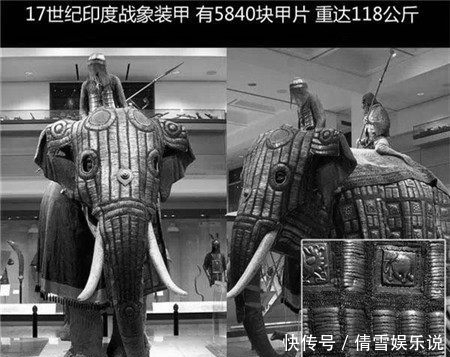 铁骑|成吉思汗的铁骑踏遍大半欧亚，为何独不取印度，因惧怕印度战象？