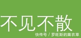 动漫|动漫头像:夜的哭泣