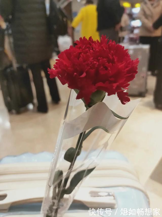 这花爆开50朵，剪几枝送人倍有面子，比买鲜花强多了！