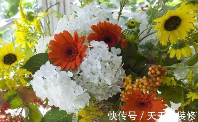 扦插|趁热快进行扦插,以下花扦插正当时,养护到位,生根发芽没问题