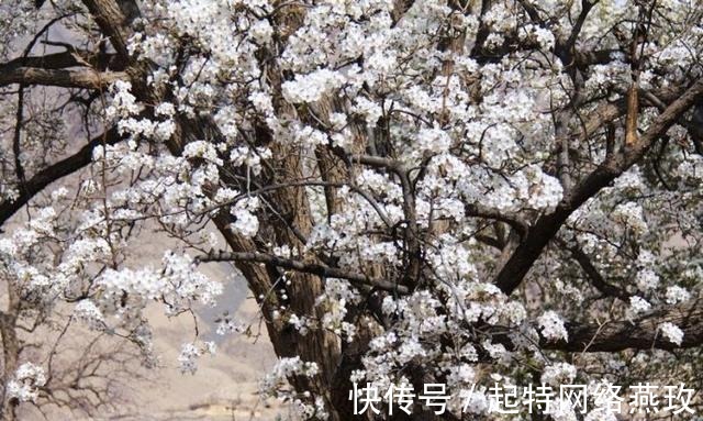 南长滩|宁夏一700年神秘古村，住着西夏皇族后裔