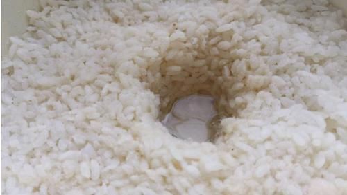 保鲜膜|甜酒酿, 女人的“保养神器”, 配方比例告诉你, 放1个月也不会坏