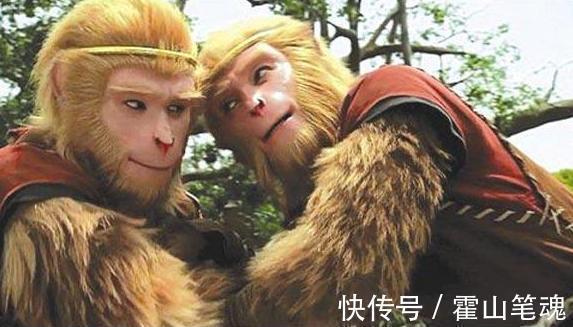 老君!六耳猕猴为啥敢上灵山?他师父可与老君抗衡,一巴掌拍死如来