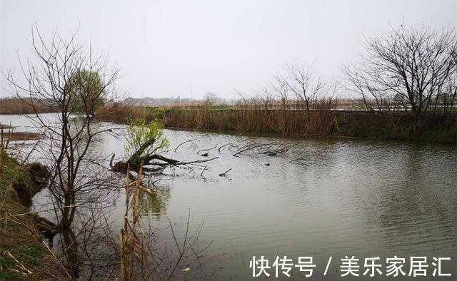 鱼窝|冬季钓鱼,找准鱼窝的3个步骤,在鱼群里下竿,大鲫一钓一个准