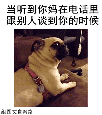 儿子|逗你一乐:我姐预产期过了,孩子还没有动静,于是住院观察!