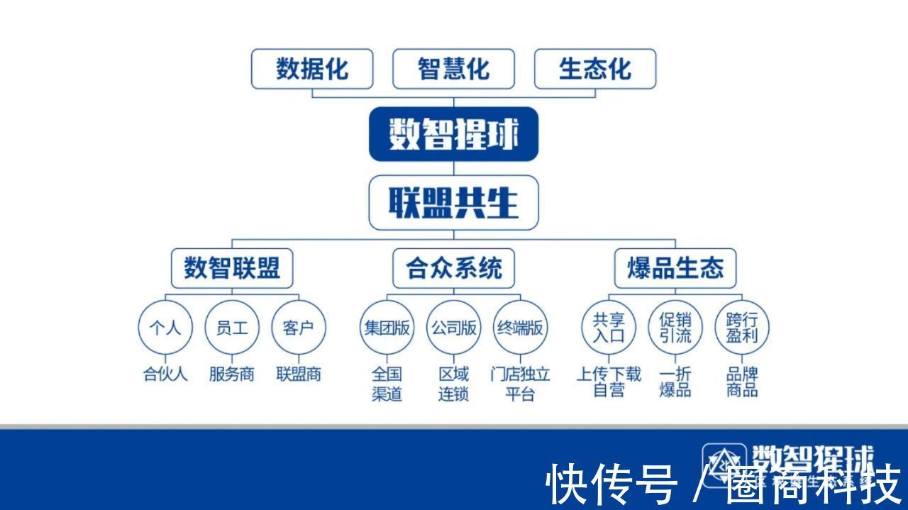 企业数智化升级，赋能高效管理|数智猩球| 企业