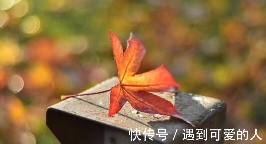 经典#陆游的一首经典诗歌,只有短短28个字,却道出了人生真谛