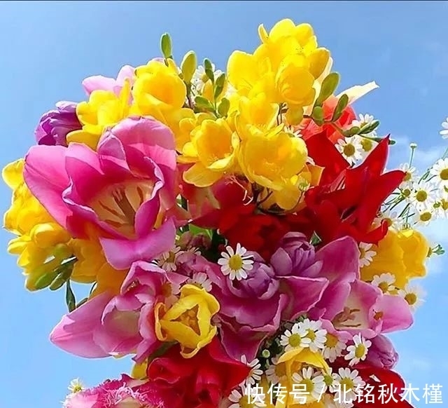 想象力|9月8日到30日,四生肖财运大涨,好运连连,诸事顺遂,万事大吉