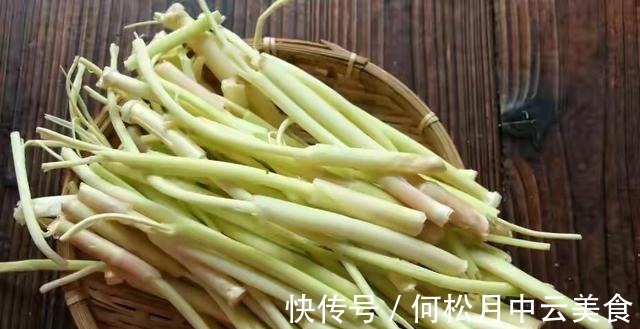 江南人|60种常见野菜,高清大图,收集全了真不容易!
