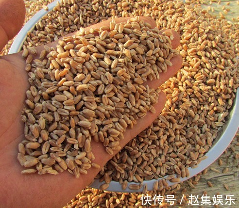 排毒养颜|黄帝内经“五谷”养五脏，怎么食用很重要，告诉你答案