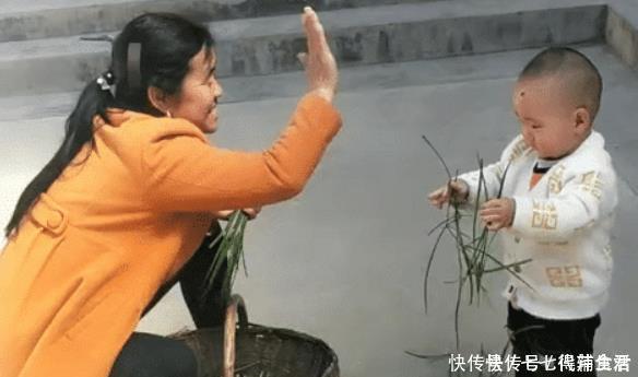 实力|“会干的不想干,不会干的抢着干”,萌娃实力帮倒忙,摘韭菜火了