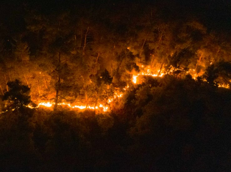 山火 探测山火，无人机的另一种打开方式