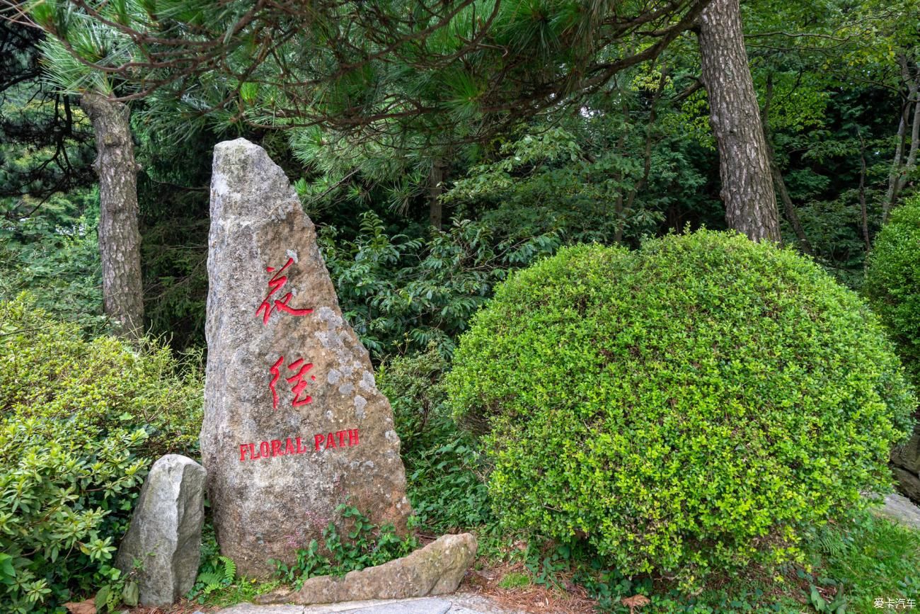 一个千古有名的风景胜地，壮丽的风光无不让人赞叹|大美庐山 | 有名