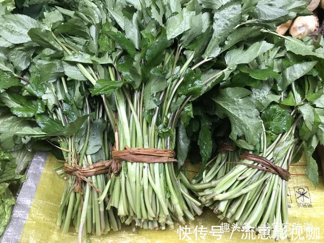 城里人|农村里不值钱几种野菜,都是城里人的抢手货,第6种80块钱1斤