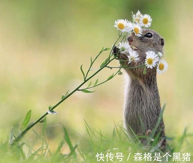 |能解闷的经典搞笑段子,一句够笑一天,越看越开心